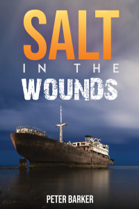 Cover image: Salt in the Wounds 9781035810437