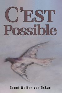 Imagen de portada: C'est Possible 9781035811892