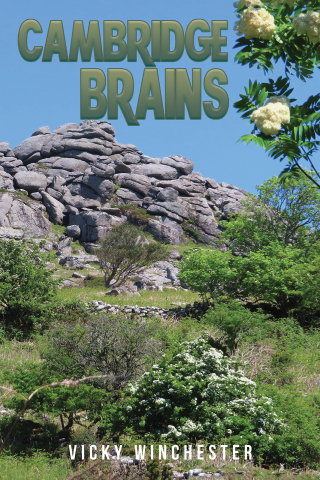 Cover image: Cambridge Brains 9781035813568