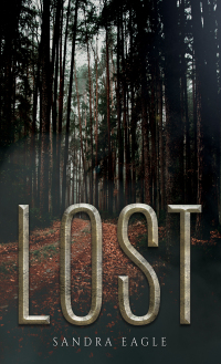 Imagen de portada: Lost 9781035814404