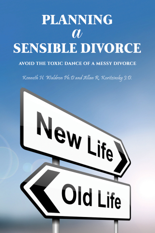 Omslagafbeelding: Planning a Sensible Divorce 9781035815869