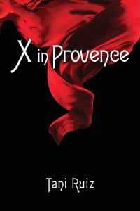 Cover image: X in Provence 9781035816323