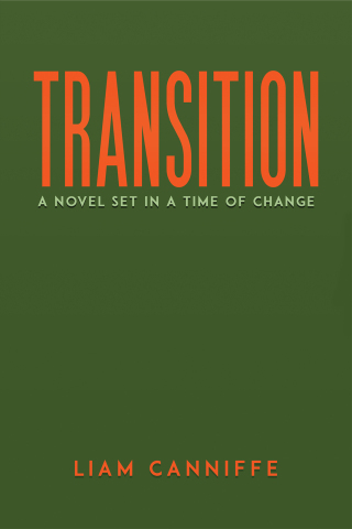 Cover image: Transition 9781035819942