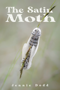 表紙画像: The Satin Moth 9781035820023