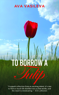 Imagen de portada: To Borrow a Tulip 9781035821969