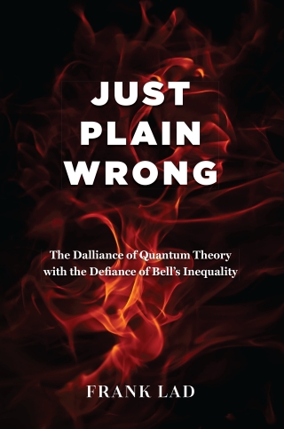 Cover image: Just Plain Wrong