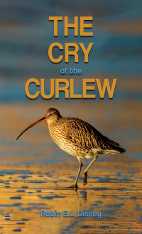 Imagen de portada: The Cry of the Curlew 9781035837380