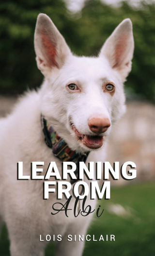 Imagen de portada: Learning from Albi 9781035838387
