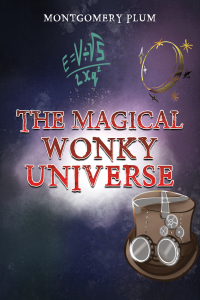 Omslagafbeelding: The Magical Wonky Universe 9781035841899