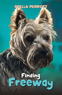 Imagen de portada: Finding Freeway 9781035848416