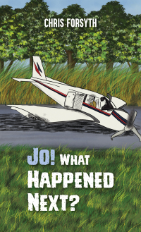 Imagen de portada: Jo! What Happened Next? 9781035849710