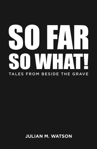 Imagen de portada: So Far So What! 9781035855094