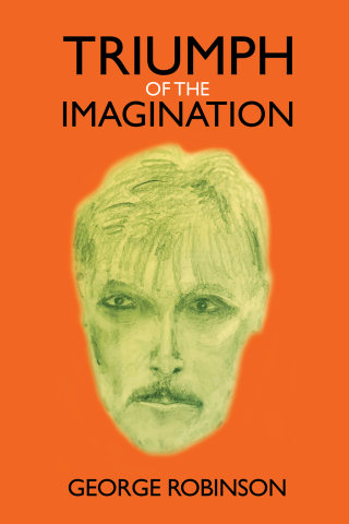 Cover image: Triumph of the Imagination 9781035855452