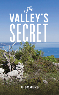 Cover image: The Valley's Secret 9781035856916