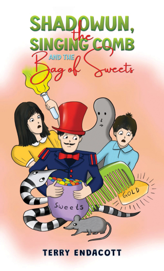 Cover image: Shadowun, the Singing Comb and the Bag of Sweets​ 9781035875955