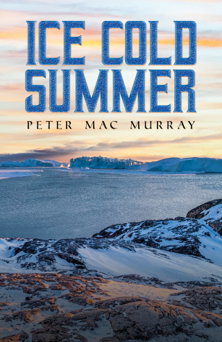 Cover image: Ice Cold Summer 9781035880348