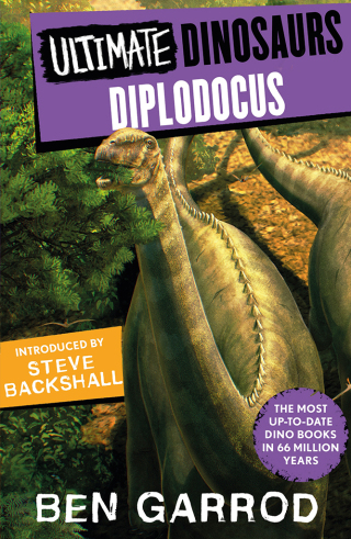 Cover image: Diplodocus 1st edition 9781804549667