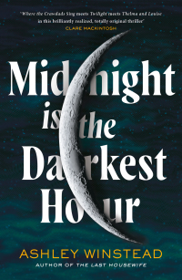 Titelbild: Midnight is the Darkest Hour 1st edition 9781035905003