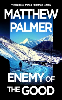 Cover image: Enemy of the Good 1st edition 9781035908844