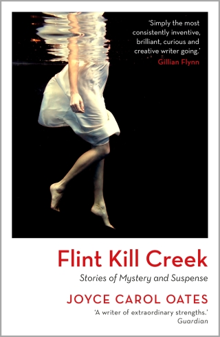 Imagen de portada: Flint Kill Creek 1st edition 9781035909940