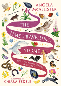 Omslagafbeelding: The Time Travelling Stone 1st edition 9781801107532