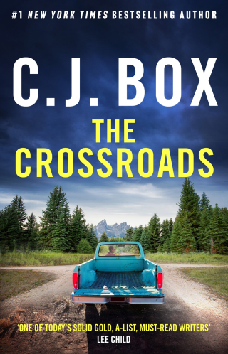 صورة الغلاف: The Crossroads 1st edition 9781035918812