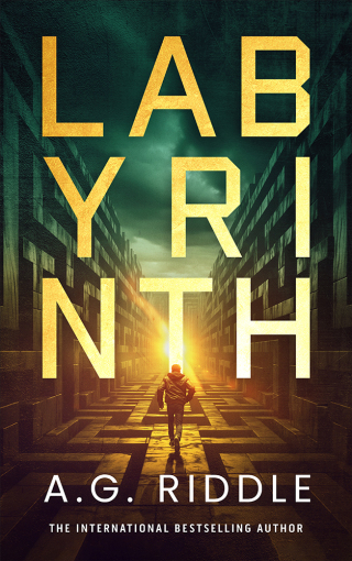 صورة الغلاف: Labyrinth 1st edition 9781035924998