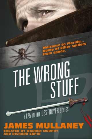 Cover image: The Wrong Stuff 1st edition