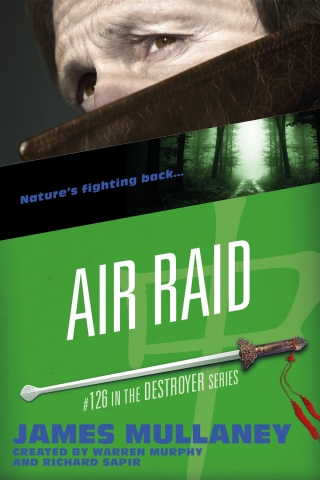 Cover image: Air Raid 1st edition