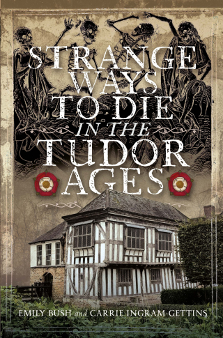 Imagen de portada: Strange Ways To Die in the Tudor Ages 9781036108731