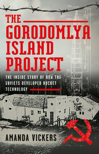 Cover image: The Gorodomlya Island Project 9781036108823