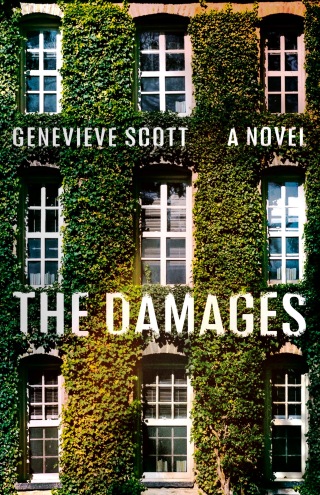 Cover image: The Damages 9781039004924
