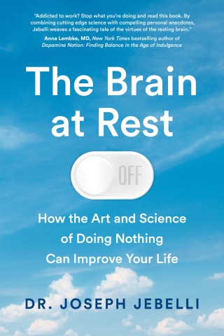 Cover image: The Brain at Rest 9781039008984