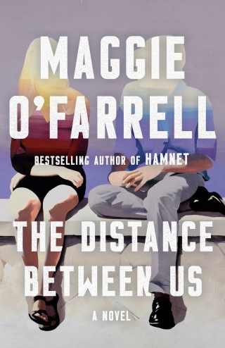 Cover image: The Distance Between Us 9781039010918