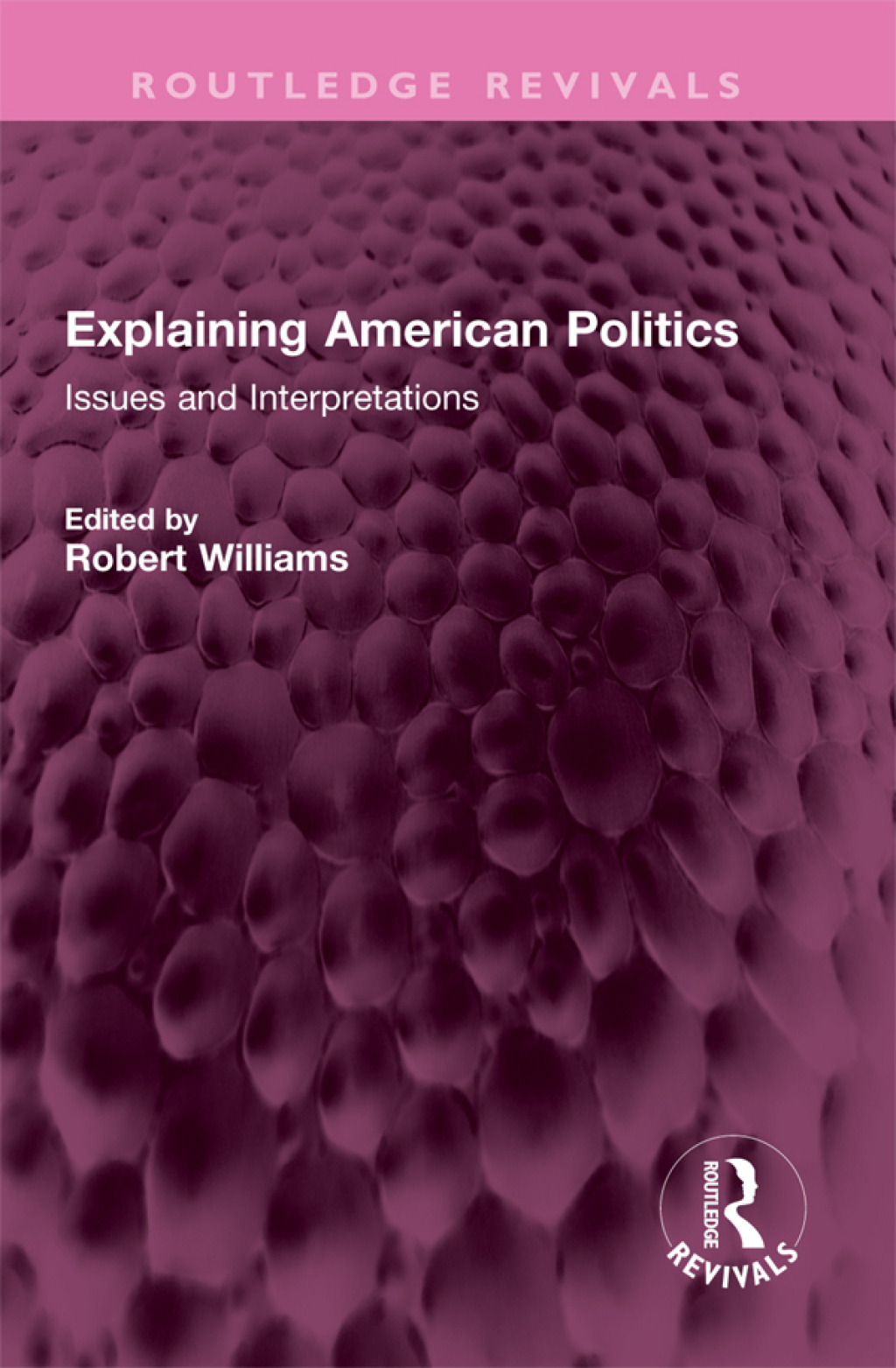Explaining American Politics Issues and Interpretations 1st Edition
