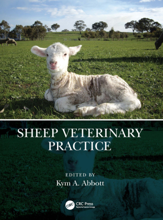 Cover image: Sheep Veterinary Practice 1st edition 9781032382838