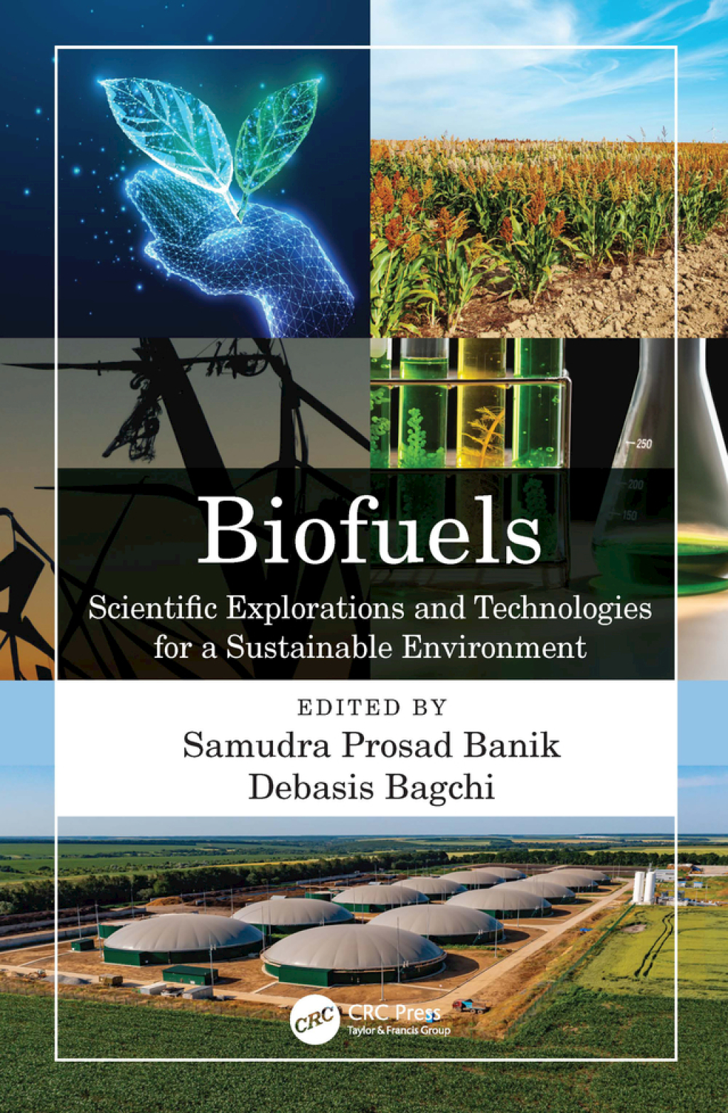 Biofuels Scientific Explorations and Technologies for a Sustainable Environment 1st Edition