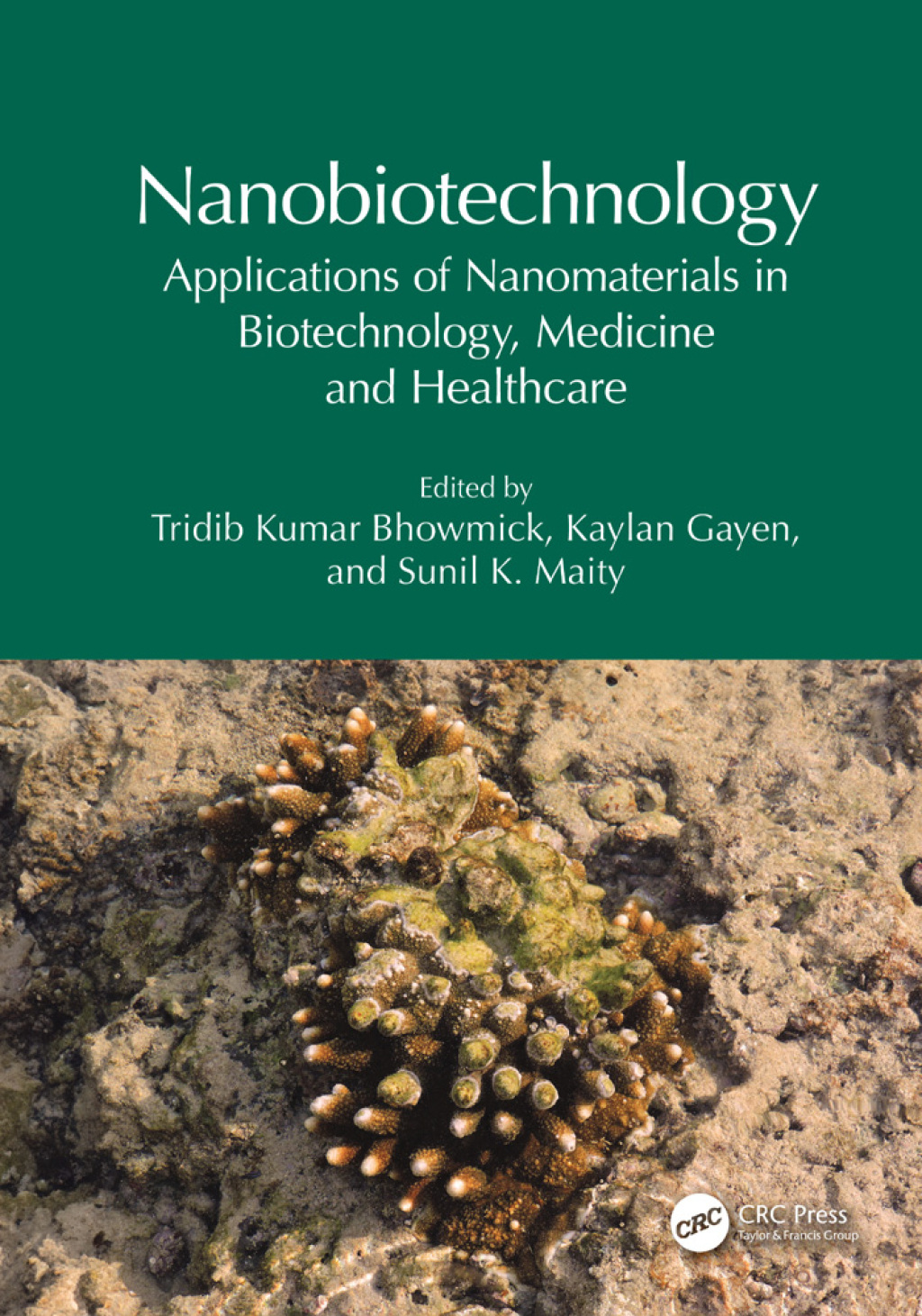 Nanobiotechnology Applications of Nanomaterials in Biotechnology, Medicine and Healthcare 1st Edition
