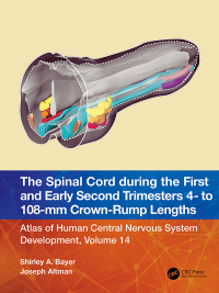 Imagen de portada: The Spinal Cord during the First and Early Second Trimesters 4- to 108-mm Crown-Rump Lengths 1st edition 9781032229041