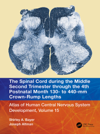 Omslagafbeelding: The Spinal Cord during the Middle Second Trimester through the 4th Postnatal Month 130- to 440-mm Crown-Rump Lengths 1st edition 9781032229133