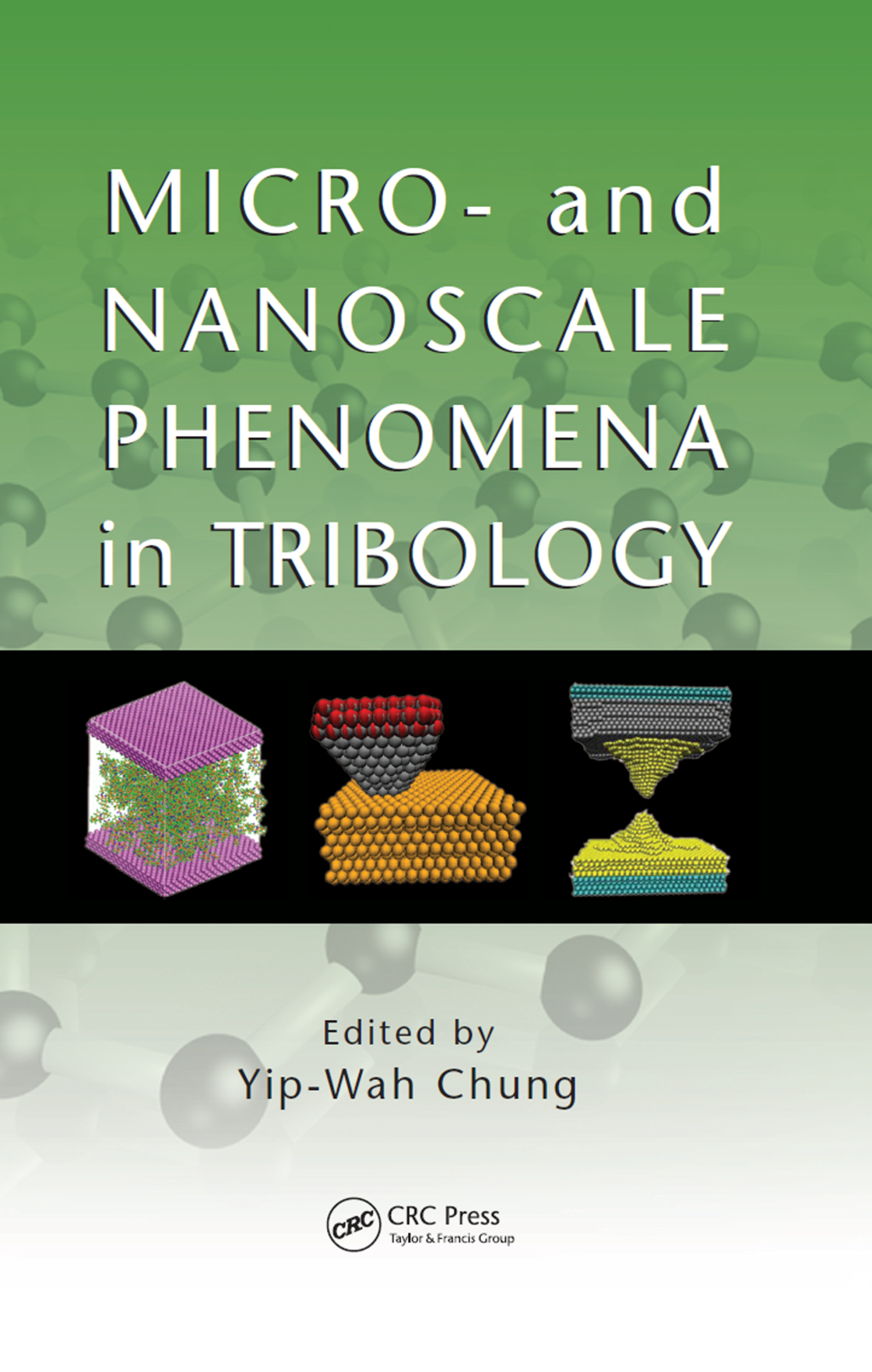 Micro- and Nanoscale Phenomena in Tribology 1st Edition