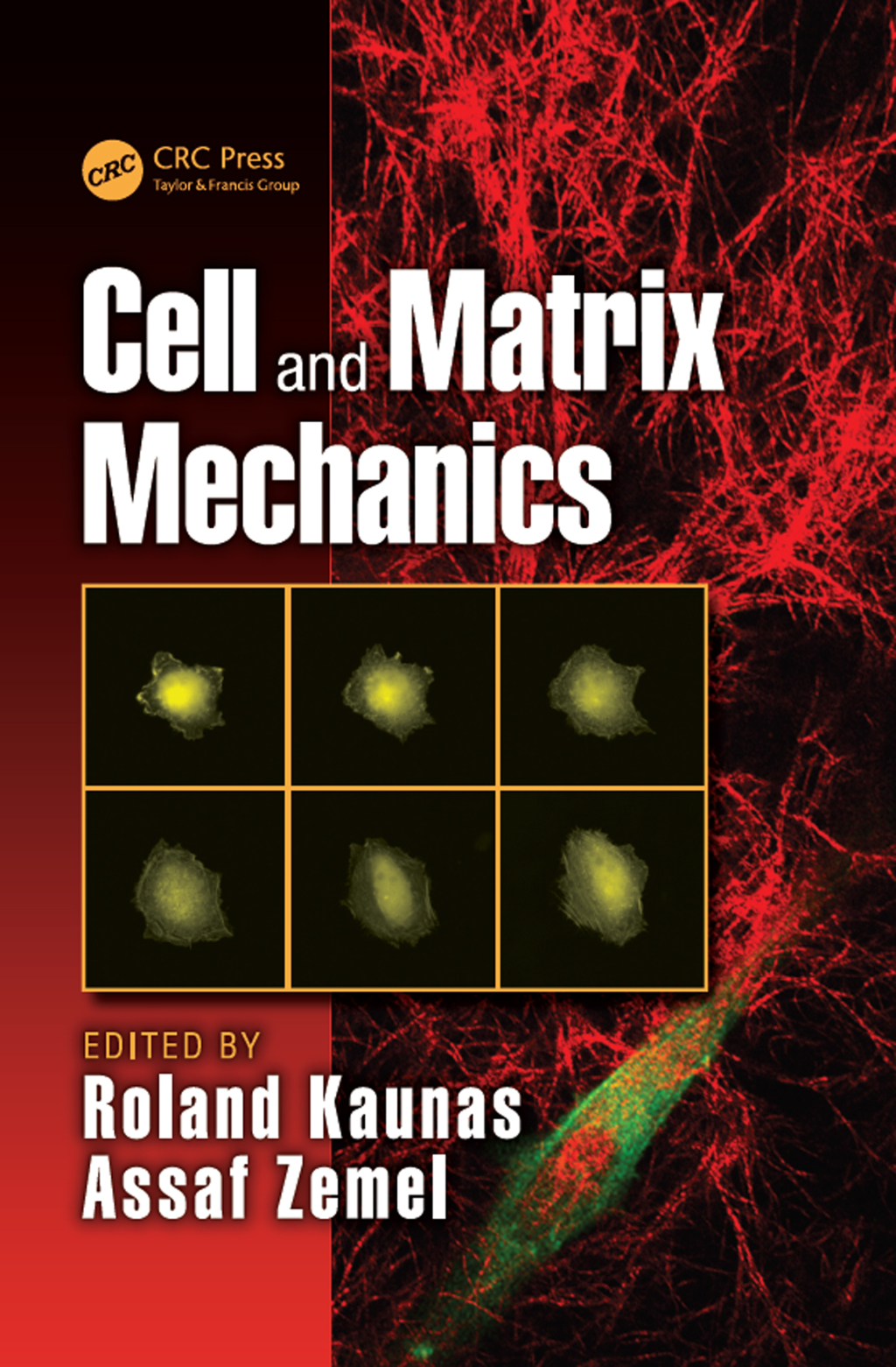 Cell and Matrix Mechanics 1st Edition