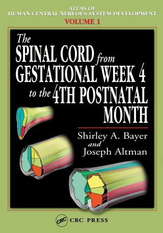 Cover image: The Spinal Cord from Gestational Week 4 to the 4th Postnatal Month 1st edition 9780849314209