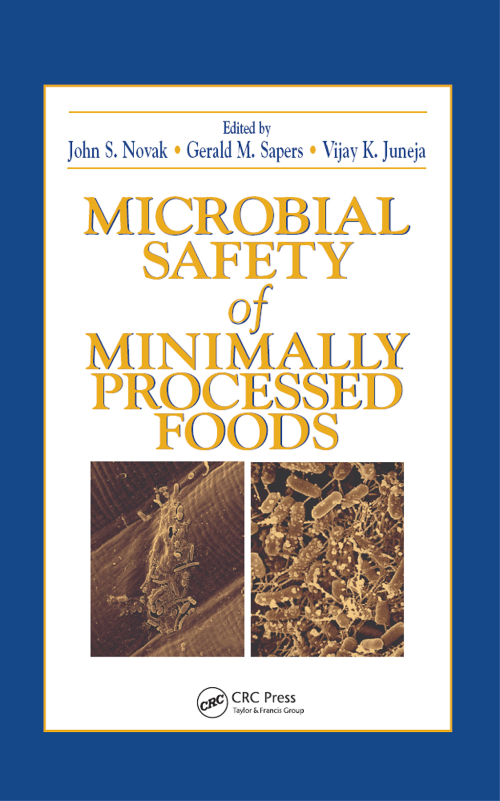 Microbial Safety of Minimally Processed Foods 1st Edition