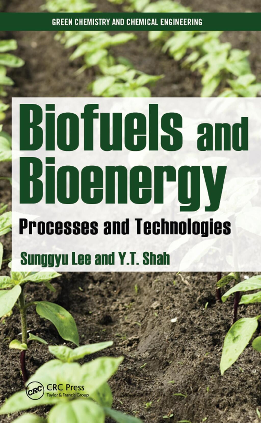 Biofuels and Bioenergy Processes and Technologies 1st Edition