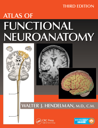 Imagen de portada: Atlas of Functional Neuroanatomy 3rd edition 9781466585348