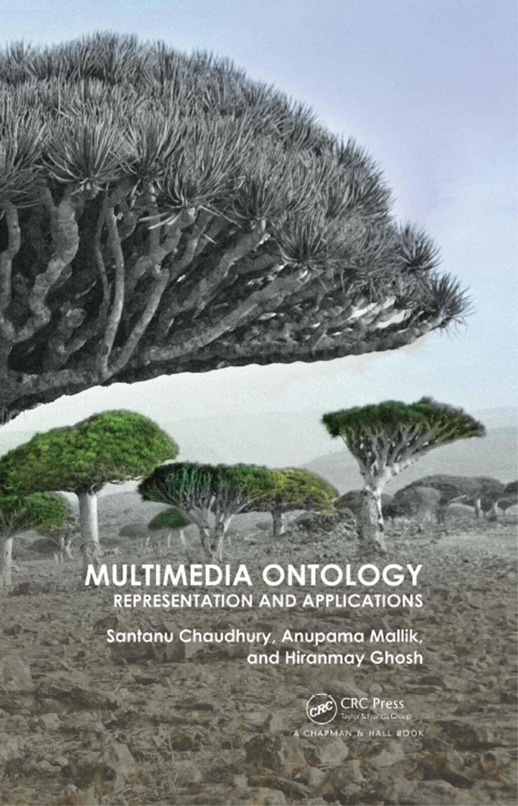 Multimedia Ontology Representation and Applications 1st Edition