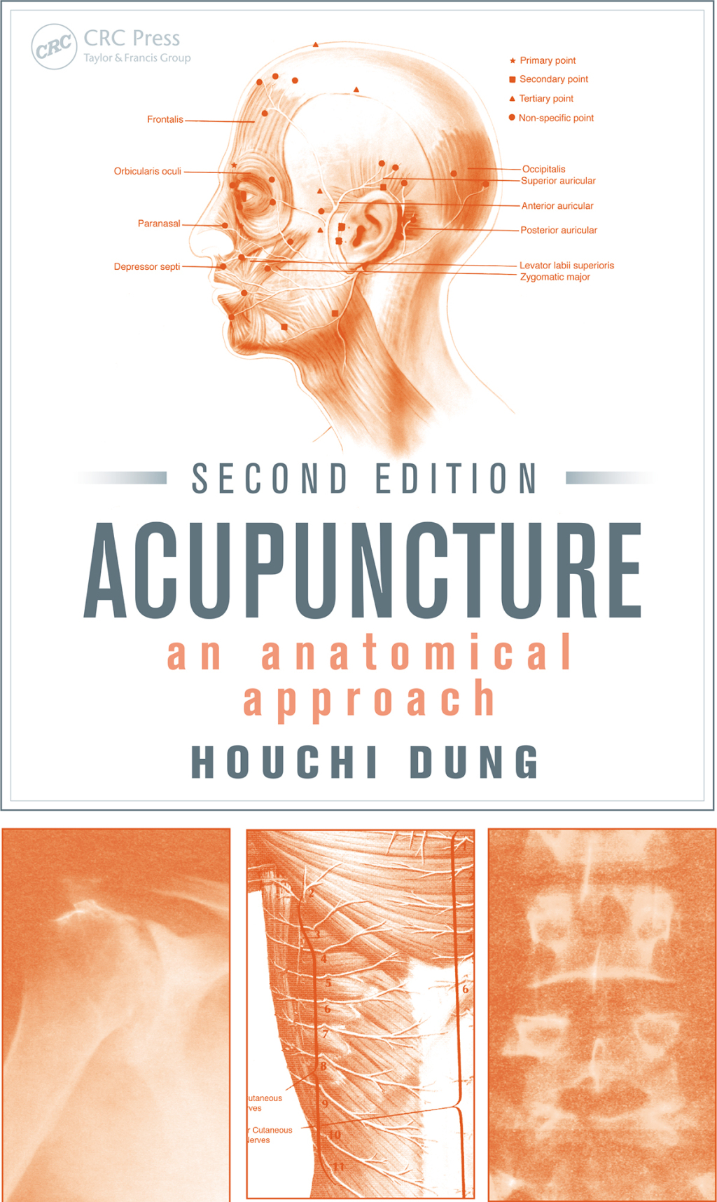Acupuncture An Anatomical Approach, Second Edition 2nd Edition