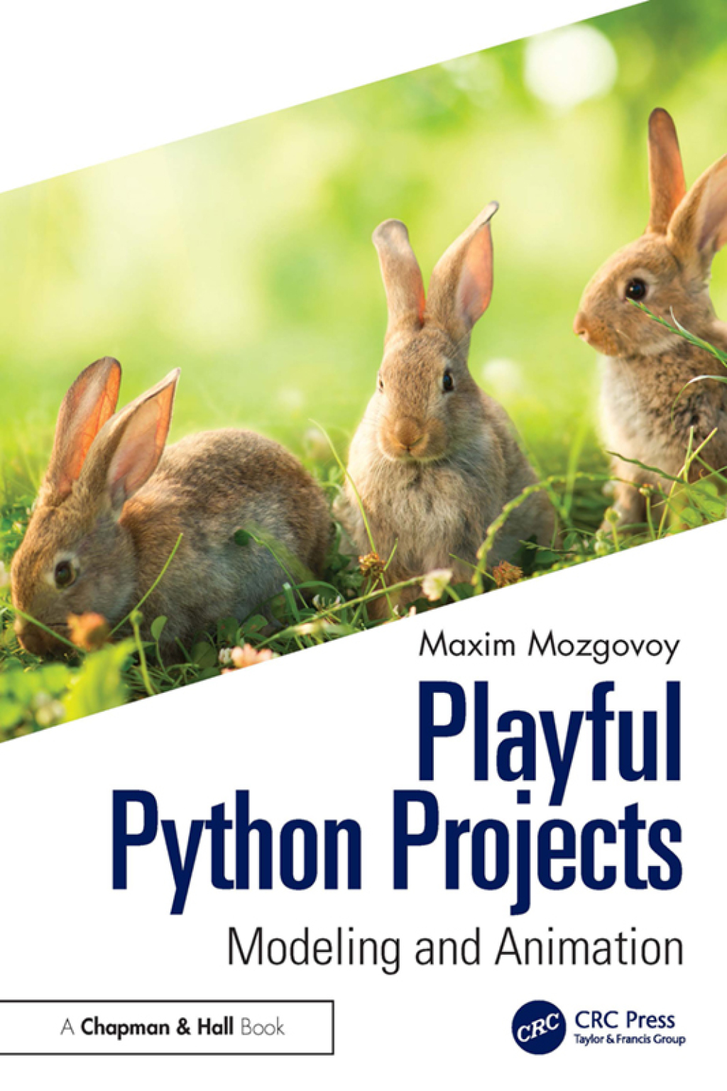 Playful Python Projects Modeling and Animation 1st Edition