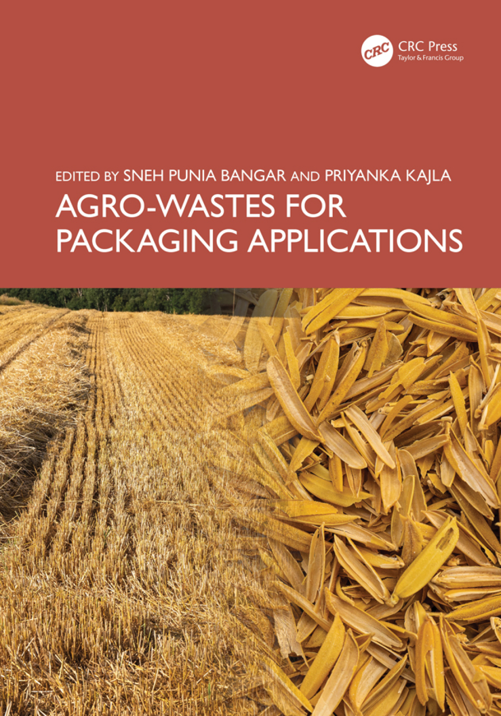 Agro-Wastes for Packaging Applications 1st Edition